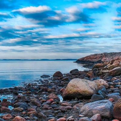 香港资料大全下载手机版